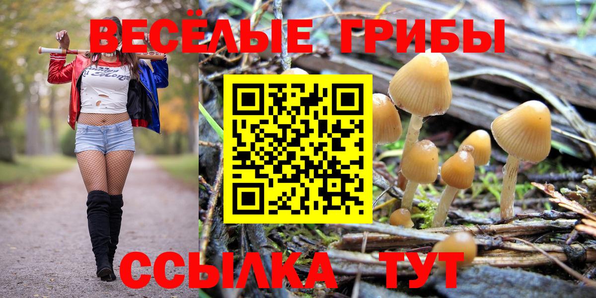 Ханты-Мансийск  Галлюциногенные грибы Magic Shrooms  Вход с VPN 