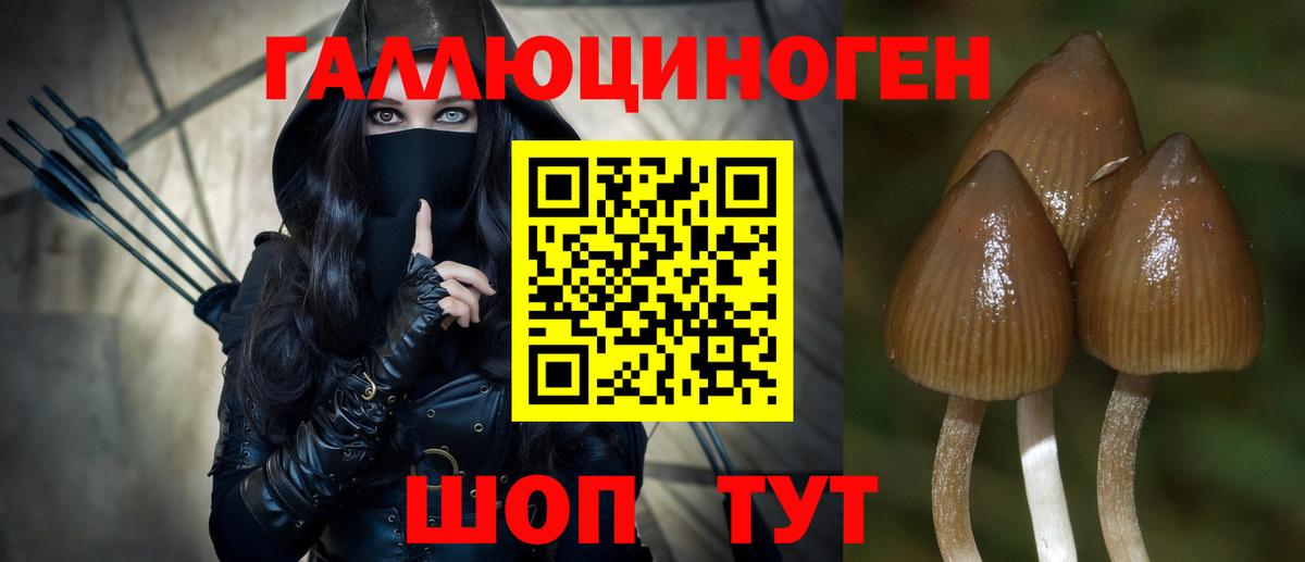 Галлюциногенные грибы Psilocybine cubensis Ханты-Мансийск